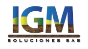 IGM-Soluciones.webp